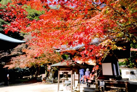 西山興隆寺